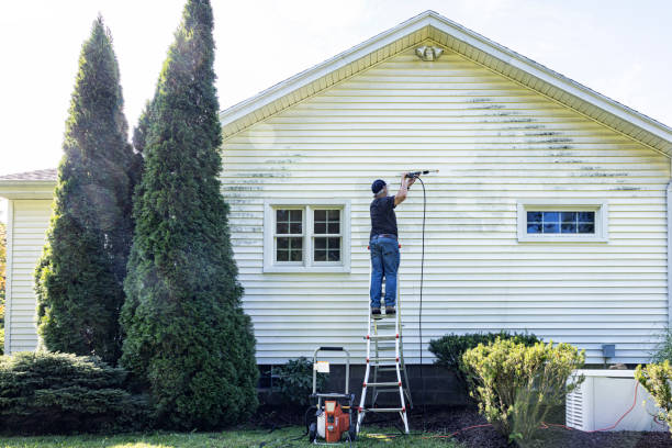 Pressure Washing Services for Businesses in Kirkland, IL