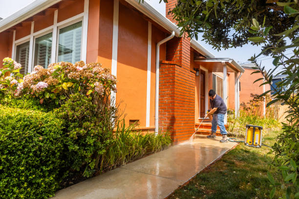 Best Local Pressure Washing Services  in Kirkland, IL